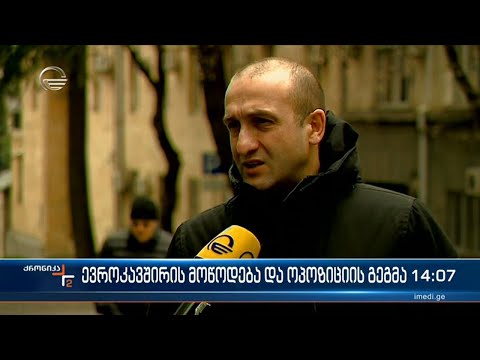 ევროკავშირის მოწოდება და ოპოზიციის გეგმები