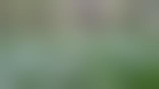 rudal tumpul dukun cabul membuatku ketagihan