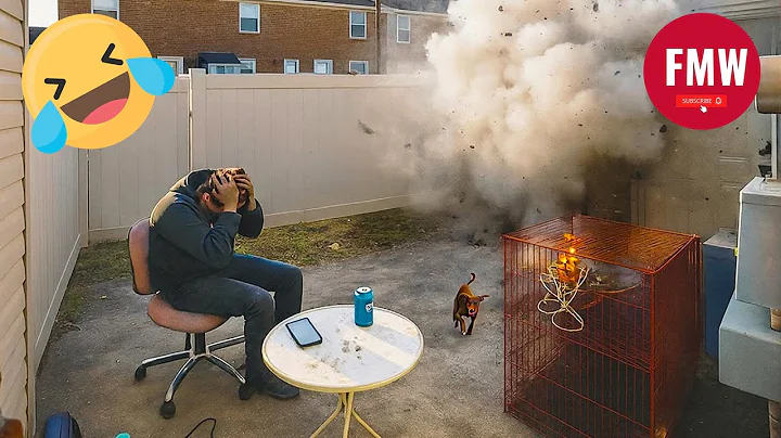 Funny & Hilarious People Life 😆 #509 | TRY NOT TO LAUGH CHALLENGE 😂 | Funny Videos Compilation 2025