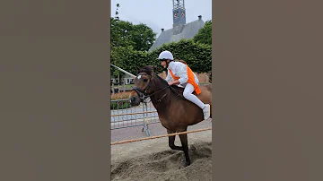 ?? Ringrijden Koudekerke ????  Nederland @TravelwithHugoF  #ringrijden #horses #koudekerke #netherlands