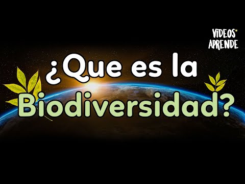Video: ¿Cómo clasificamos la biodiversidad?