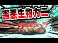 【にゃんこ大戦争】おさかな天国カニ地獄！最凶害悪生物タスマニアオオガニのせいでムート瞬殺【本垢実況Re#2484】