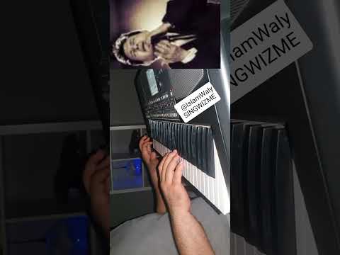 عزف اورج لو بتحب حقيقي صحيح هاني شاكر