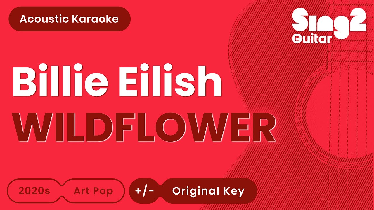 Billie Eilish - WILDFLOWER (Acoustic Karaoke) Billie Eilish - WILDFLOWER (Acoustic Karaoke)