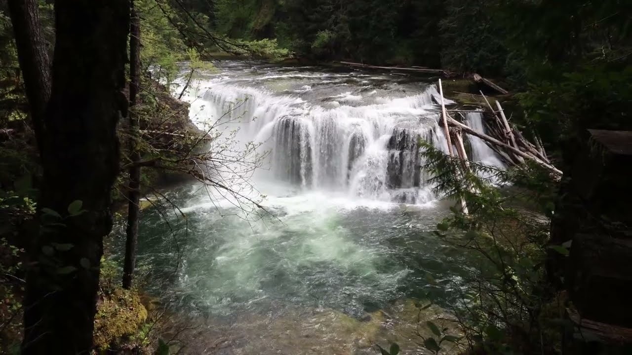 Lewis River Falls May 7th, 2025 4K