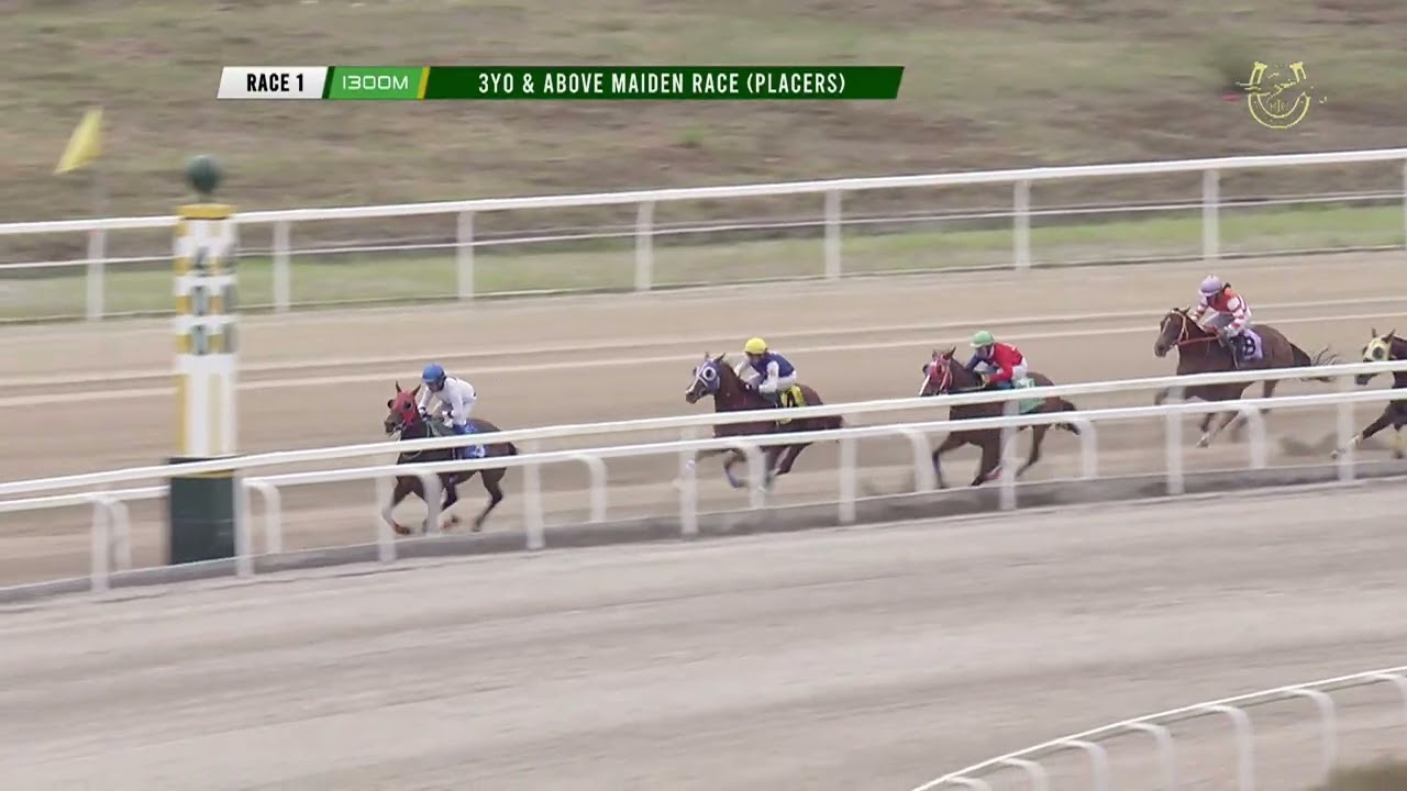 17JAN2026 - Race 1: 3YO & ABOVE MAIDEN RACE (PLACERS) (1300m)