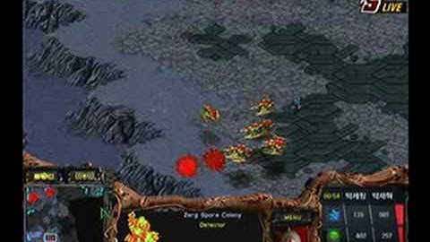 Incruit OSL  Pure vs Hyuk 2008-08-04  @ Return of the King