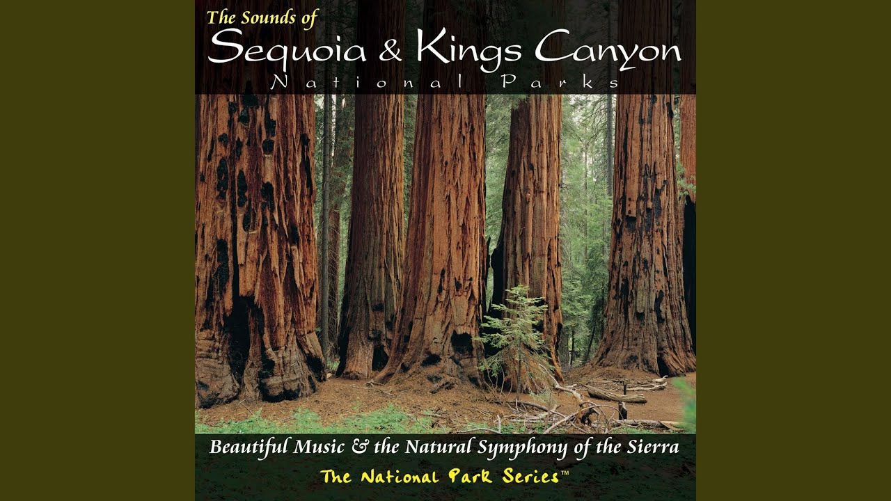 Tender Explorations auf YouTube ansehen Tender Explorations auf YouTube ansehen