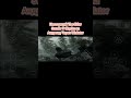 Запуск The Elder Scrolls V Skyrim на Андроид Через Winlator(Exynos 1280)