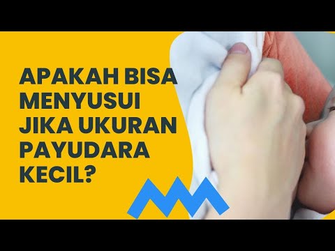 Ukuran Payudara Kecil Apakah Bisa Menyusui - Seputar Susu