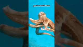 5 Fakta menarik hewan #hewan #animals #animalshorts #faktahewan