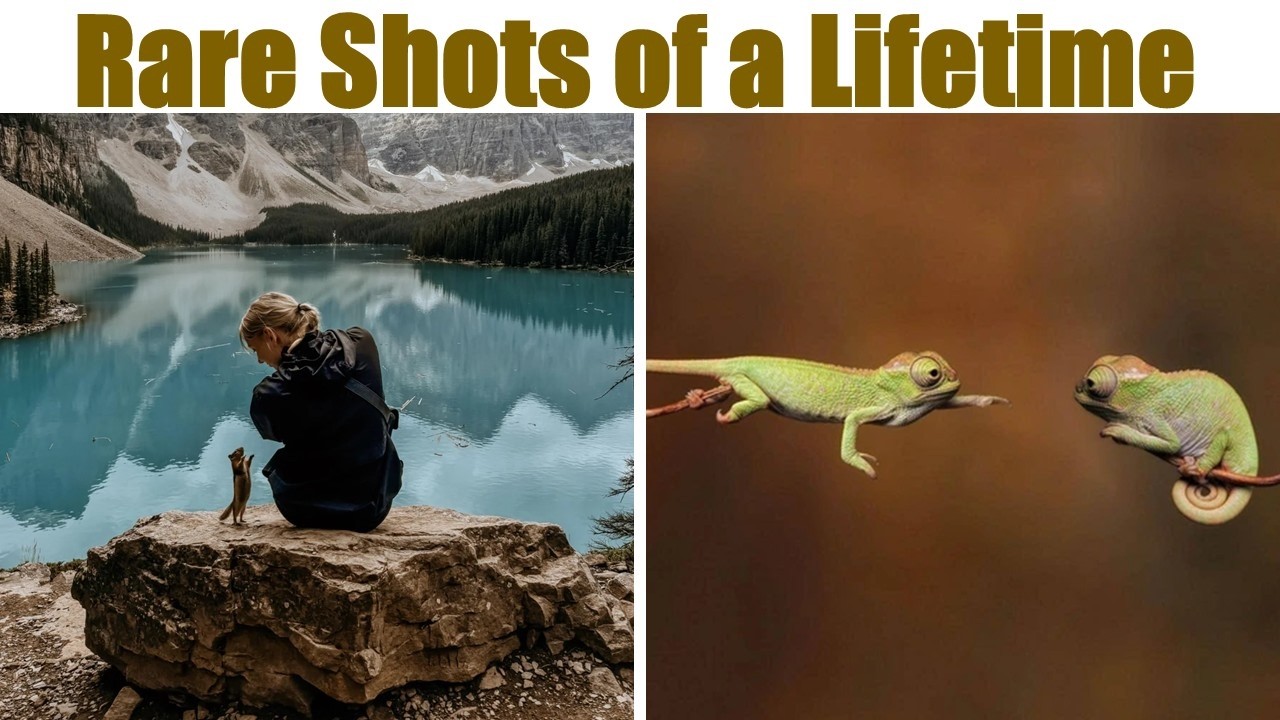 Shots of Rare Moments That Can Only Be Taken Once in a Lifetime