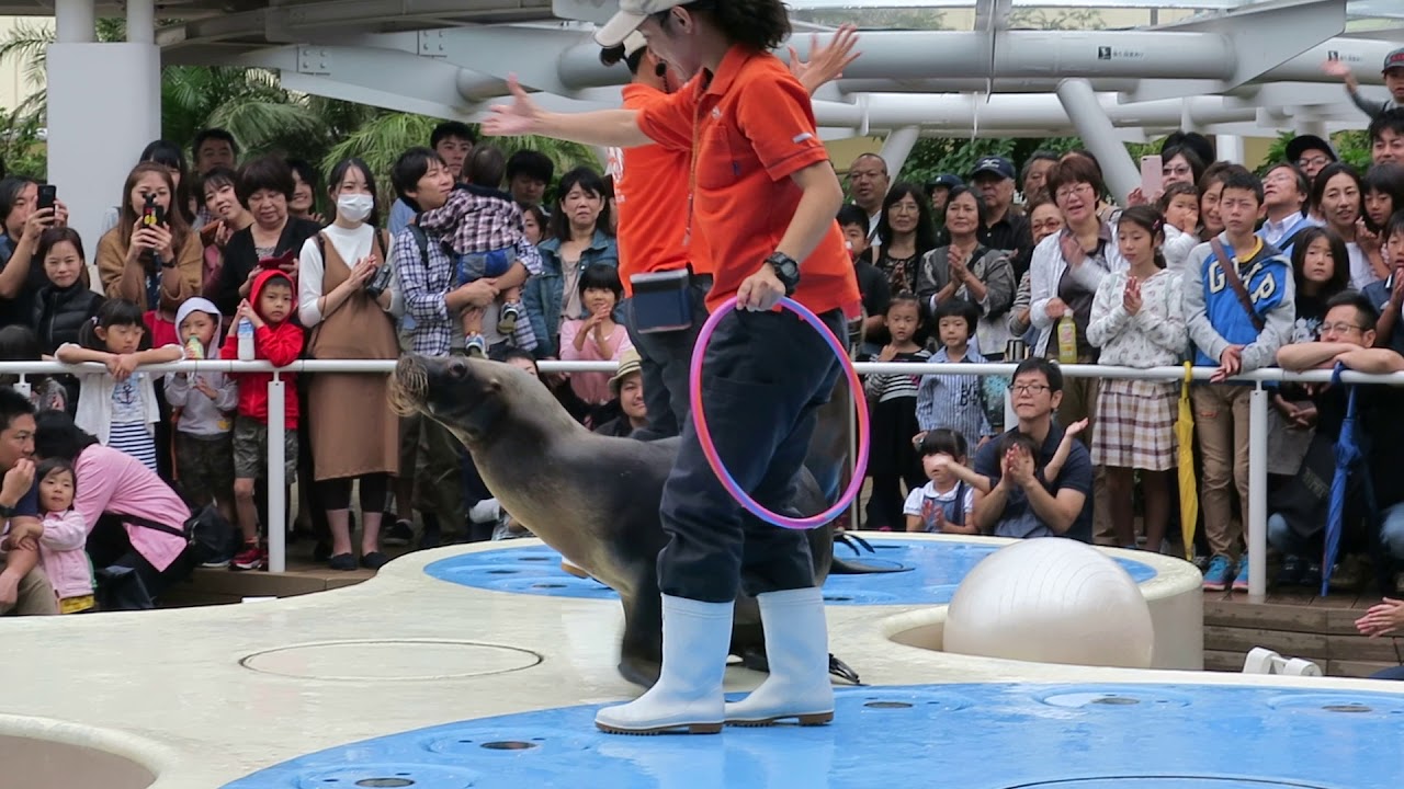 定年おやじの徘徊記