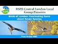 Birds of london fascinating facts about seven species by peter holden mbe