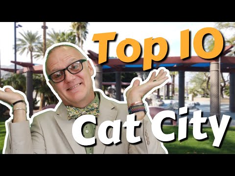 Top 10 Things To See and Do in Cathedral City California