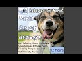High frequency relaxation music for dogs