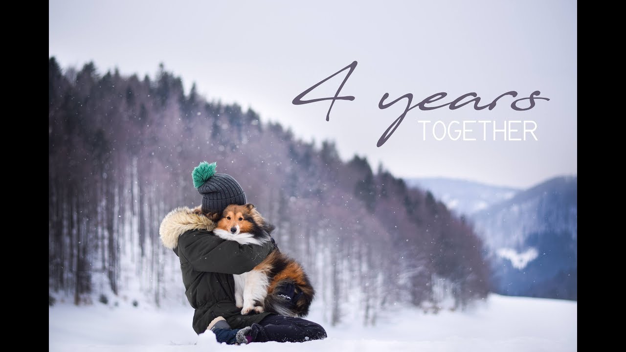 4 years TOGETHER | with sheltie Bonnie camera iphone 8 plus apk