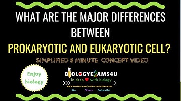 5 Major Differences Between Prokaryotic and Eukaryotic Cell | Prokaryotic vs Eukaryotic Cell