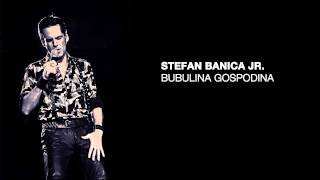 Video thumbnail of "Stefan Banica - Bubulina gospodina"