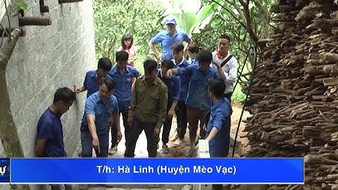 Huyện mèo vạc có bao nhiêu xã năm 2024