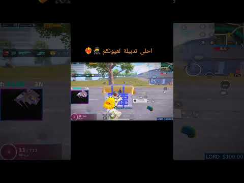 احلى تدبيلة لعيونكم ببجي ببجي  الشعب الصيني ماله حل  