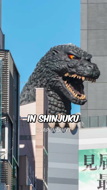 The Dark Truth Hidden In Tokyo!