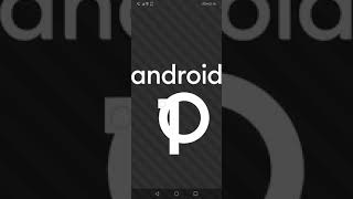 An easter egg in Android 10