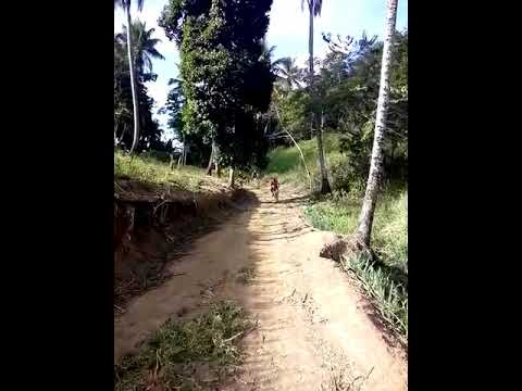 Trilha em rio formoso