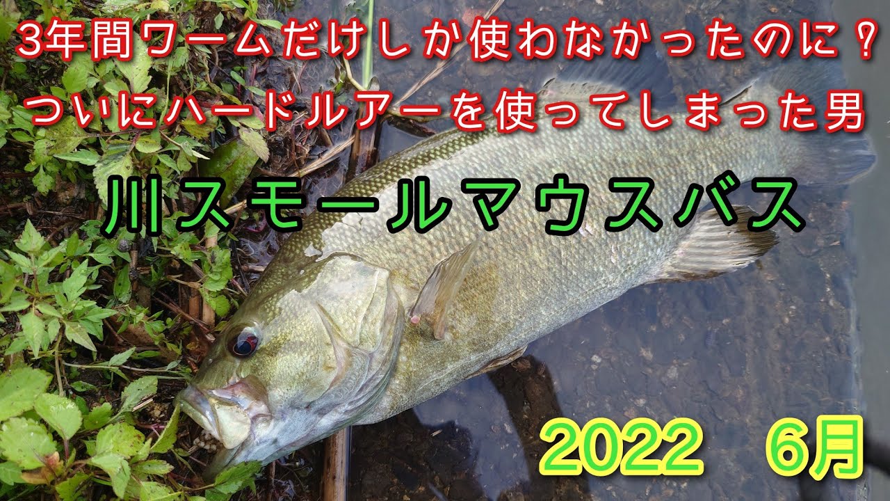 ハードルアーに手を出して川スモールマウスバス Youtube ハードルアーに手を出して川スモールマウスバス Youtube