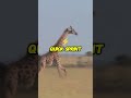 Giraffes Speed Demons in Disguise!