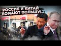 Паны из Польши взвыли: Без яиц и без будущего! Китай и Россия ломают Варшаву через колено!