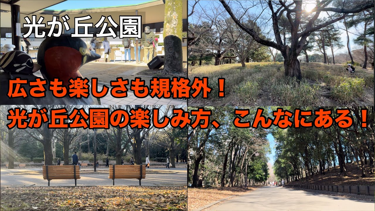03【知らなきゃ損！光が丘公園の魅力】5人の声で知る🎤公園の楽しみ方