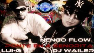 Ñengo Flow Ft. Lui-G - Ponte En 4 Jovencita (Prod. DJ Wailer)