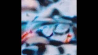 Shoal - Temporal Blend [ANIMA16]