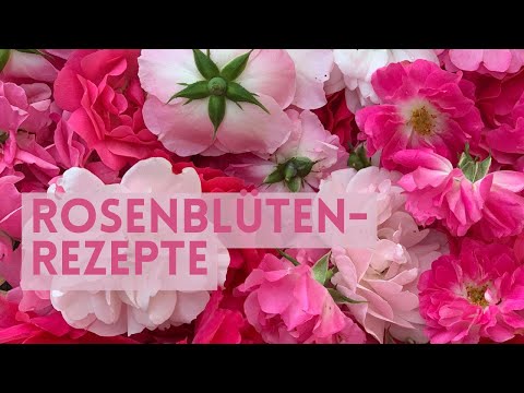 Video: Rezepte für Rosenblütentee und Rosenblüteneiswürfel