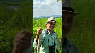 Meghauli, My Friends