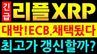리플 XRP 엑스알피 ECB, 리플렛저 채택 디지털 유로 시험에 XRP 활용 #리플 #엑스알피 #리플전망 #엑스알피전망