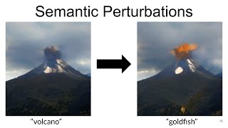 Investigating Distributional Robustness: Semantic Perturbations Using Generative Models