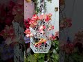 floral metal bird cage #flower #showpiece #flowerarrangement #flowerdecoration #homedecor