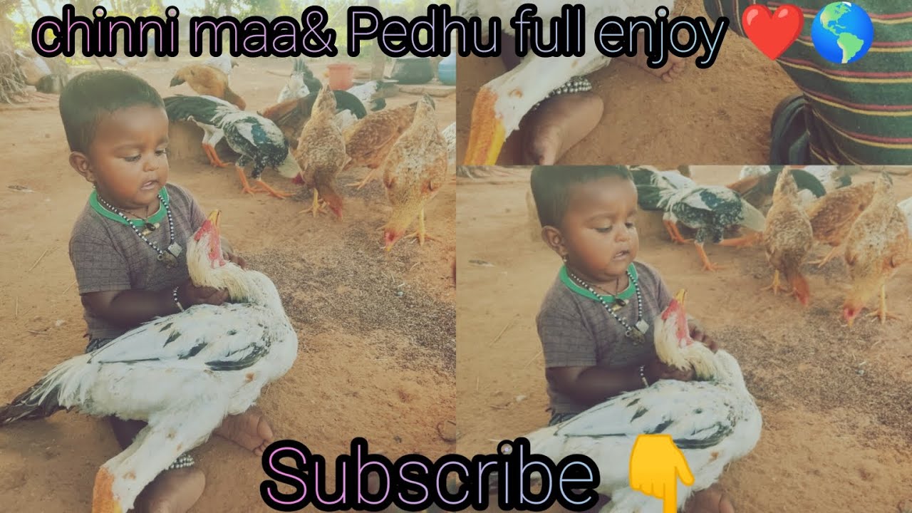 Pedhu maa chinni maa full enjoying  villagelifestyle  villagevlog  viralvideo