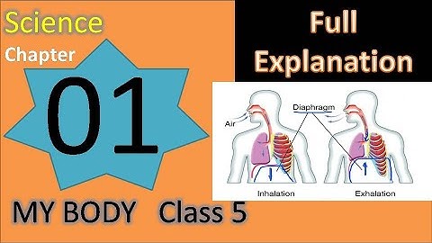 Chapter 1 My Body Science Class 5 DAV Our Living World full explanation