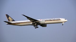 Planes Landing in THE LAST RAYS OF LIGHT - Melbourne Airport Planespotting