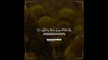 هزاع البلوشي سورة الحجر