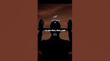 اللهم انصر غزة.. دعاء يهز القلوب 🤍🥺| #دعاء #غزة_الآن #قرآن #تلاوة_خاشعة #تابعوني #اكسبلور #لايك