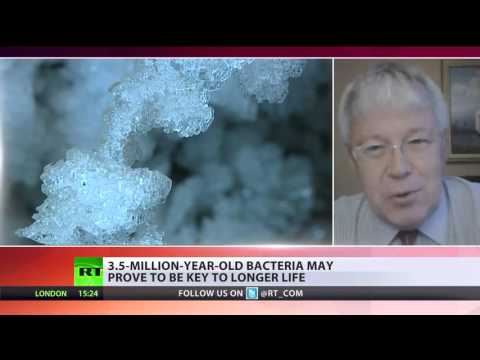 Video: Russian Scientist Told How To Prolong Youth