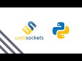 WebSockets with Python and WebSocket API