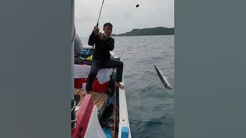 Thủy quái biển Phú Quốc (chuyến câu cá Nhồng)