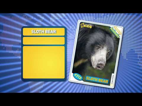 Удивительные животные: Губач