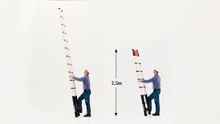 Telesteps Rescue Line Telescopic Ladder