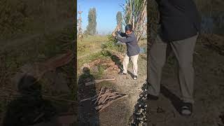 Khungang Chatshi Ahan Lamangi Seba Toubishi